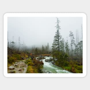 A Foggy Hike Sticker